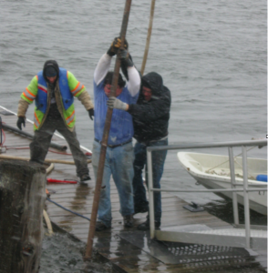 Club members straining to put the dock’s in rapid Connecticut River waters