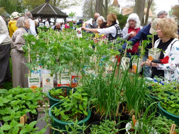 Shoppers enjoy all the attractions of Essex garden Club's May Market.