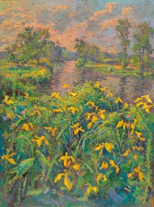 Yellow Flag Iris on Seldens Creek by Leif Nilsson