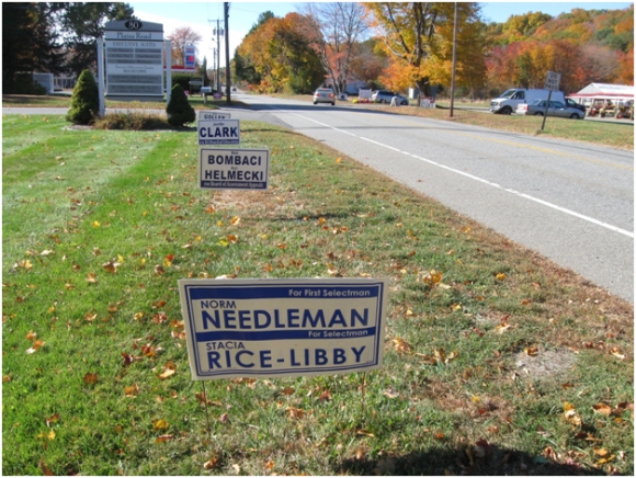 Road signs for Essex Democratic incumbents, Norm Needleman and Stacia-Rice Libby 