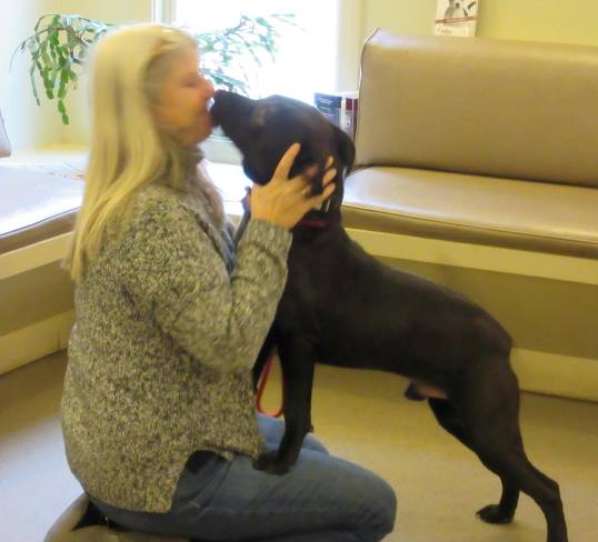 Sue Hotkowski gets a kiss from Bart, an abandoned Connecticut dog, after being spayed on World Spay Day in February at Chester Veterinary Hospital. Bart has since been adopted. 