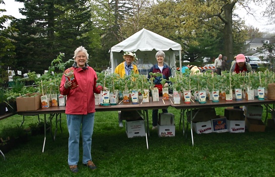 Essex Garden Club members prepare for the annual May Market