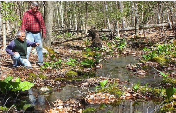 Lyme Land Trust Preservation Chairman Anthony Irving, kneeling, and Vice President Don Gerber next to Whalebone Creek in the proposed Hawthorne Preserve in Hadlyme.